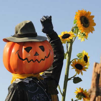 Met een persoonlijke offerte naar Disneyland tijdens Halloween! 